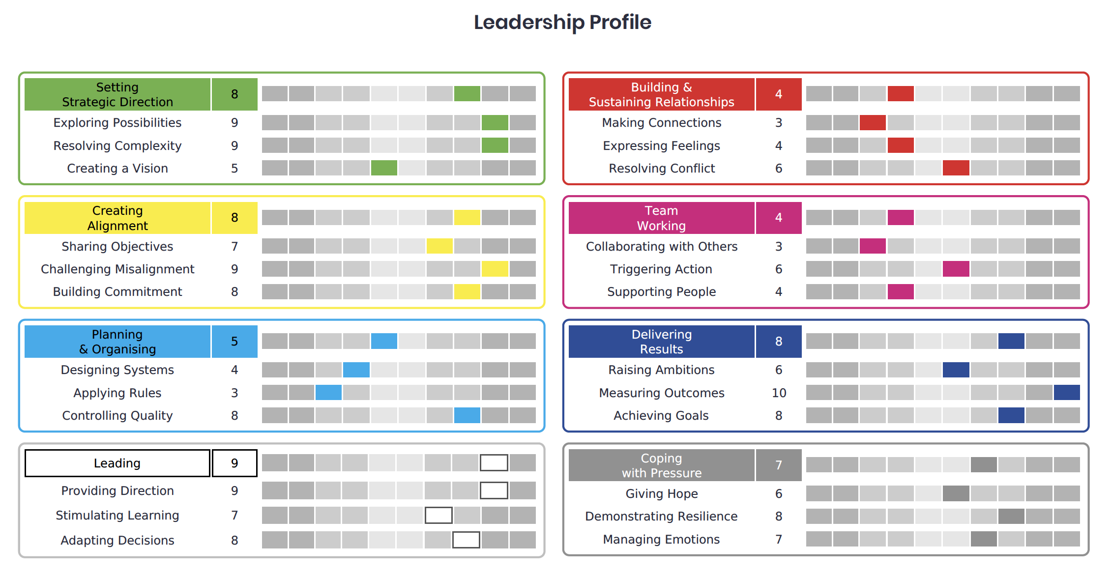 Leadership Profile snapshot